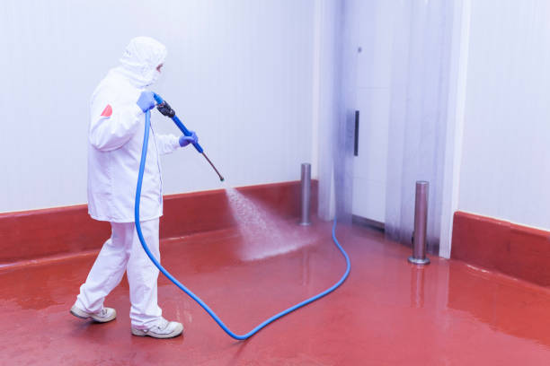 Pre-Holiday Cleaning in Marietta, GA